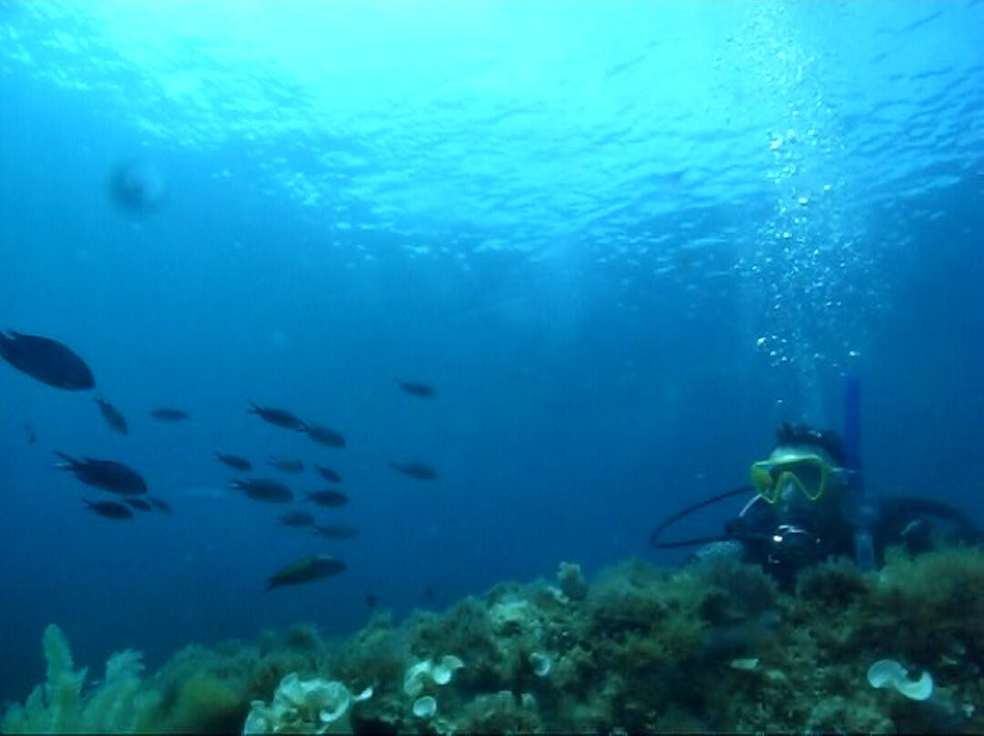 Scuba Ibiza Diving Center-伊维萨城区必去景点