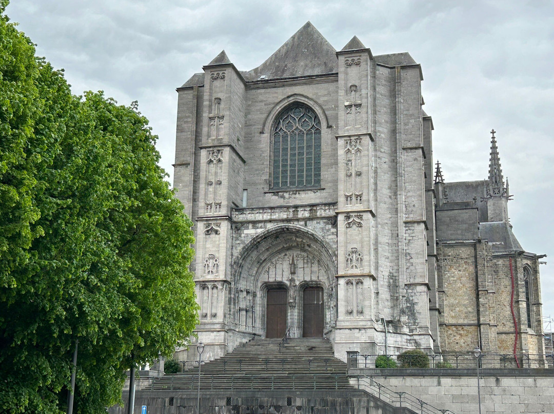 Collégiale Sainte-Waudru景点图片
