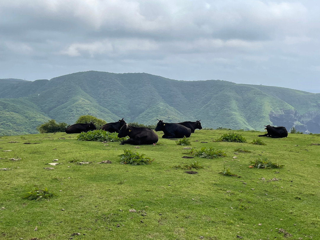 Matengai Cliff-西之岛町必去景点