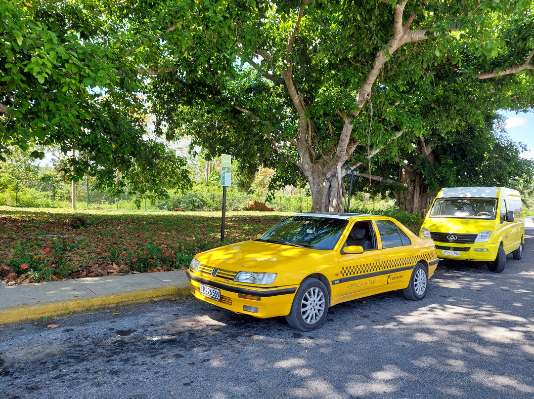 Taxis Clavijo-哈瓦那必去景点