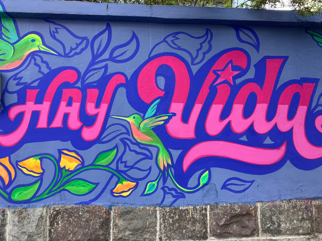 Quito Urban Tour-基多必去景点