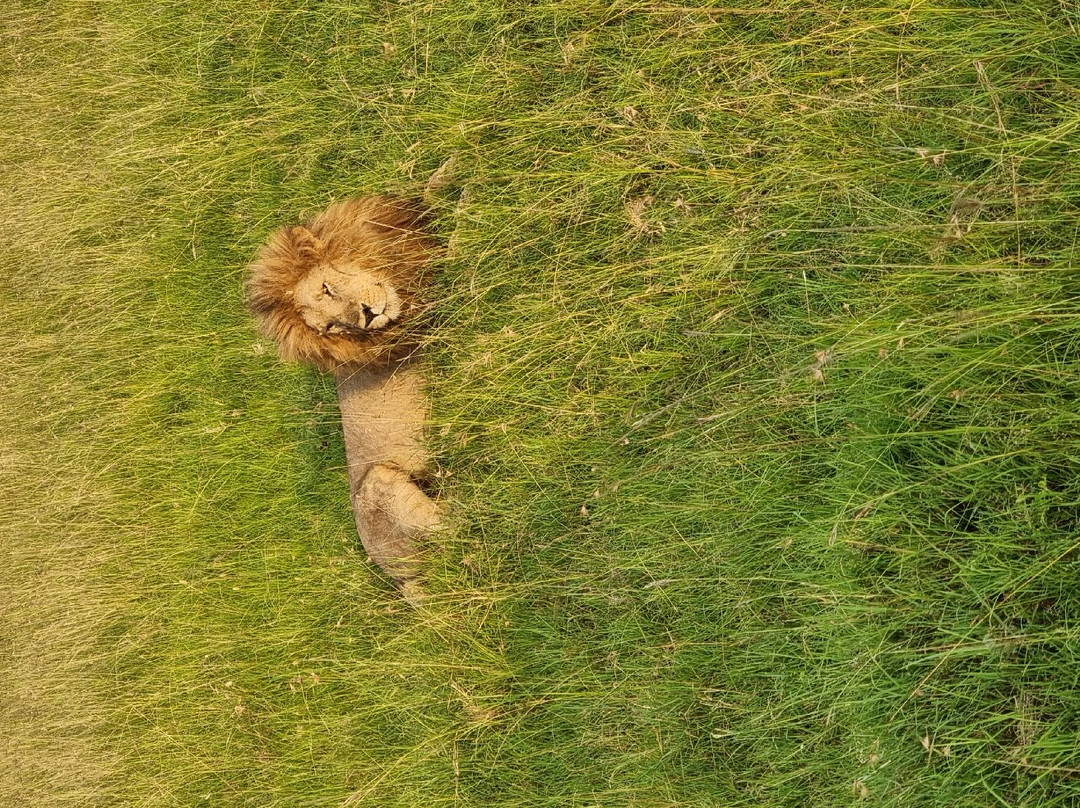 Kairi Tours and Safaris-内罗毕必去景点