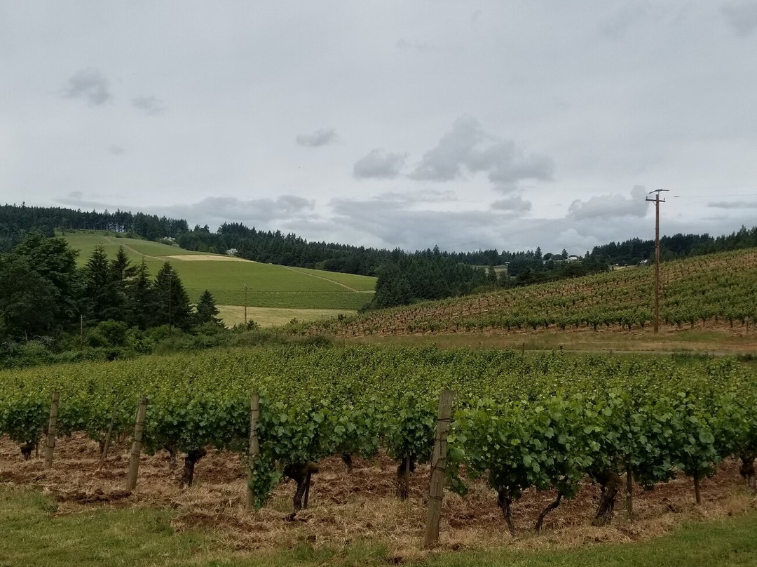 The DreamGiver's Inn Bed & Breakfast主图