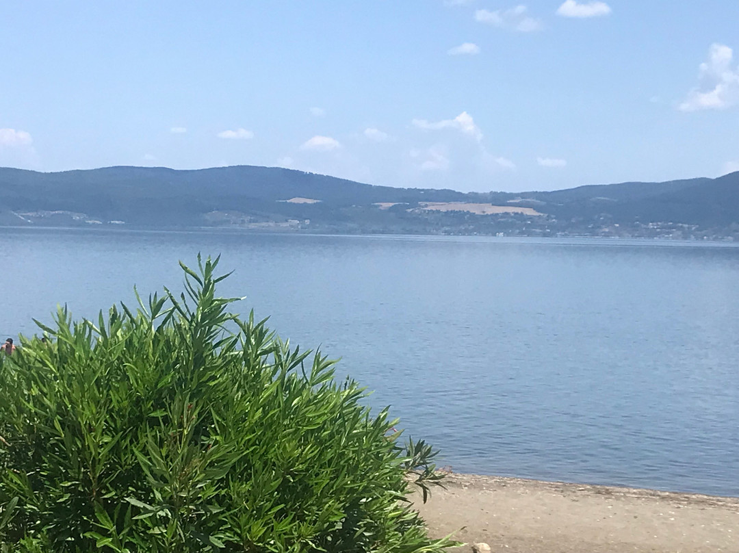 Vigna Di Valle主图