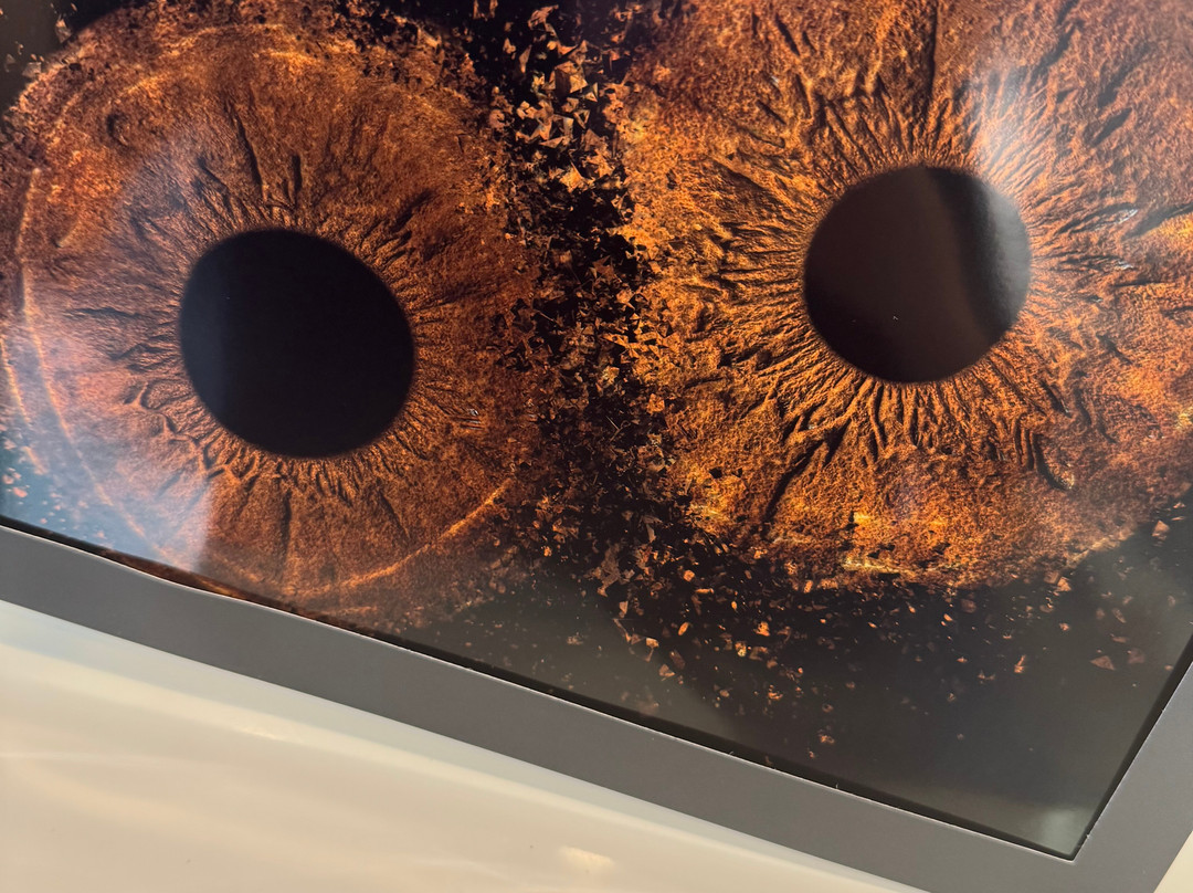 Eyemazy Dublin-都柏林必去景点