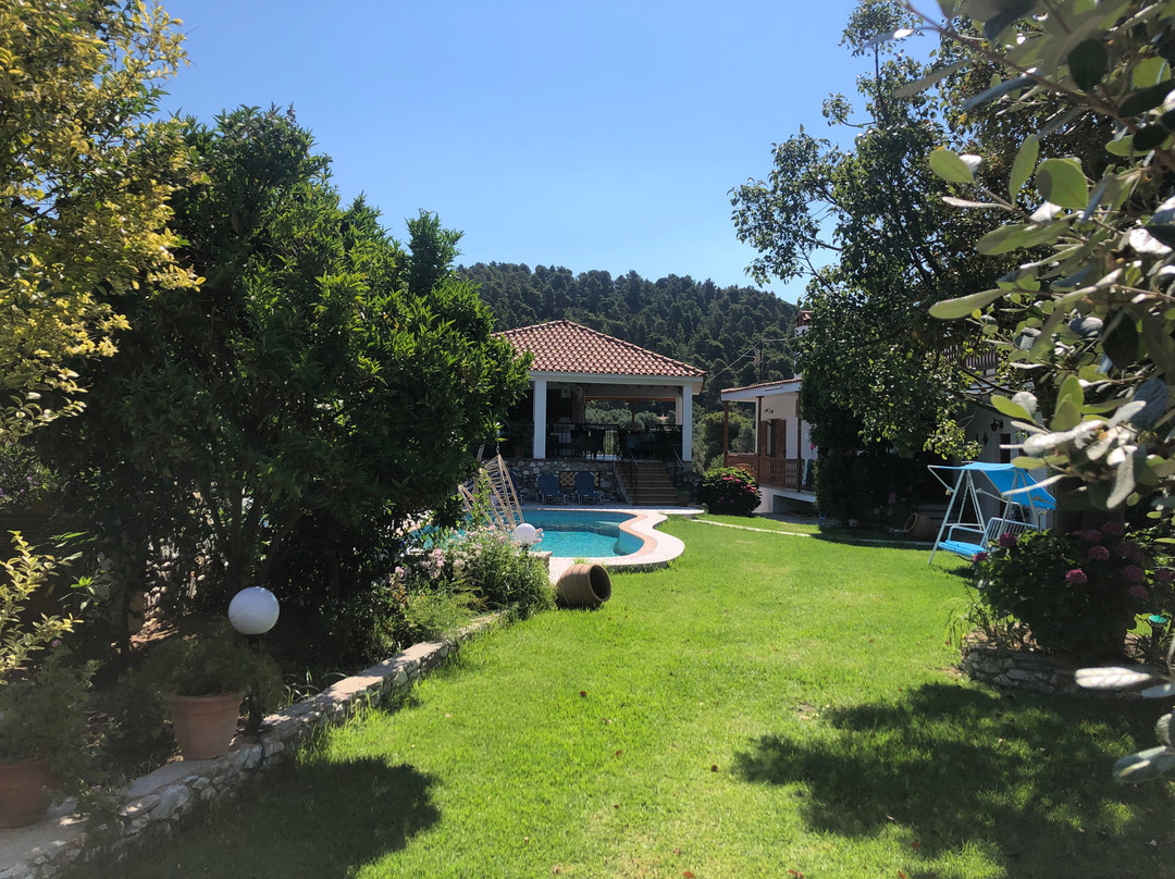 Veronica Studios主图