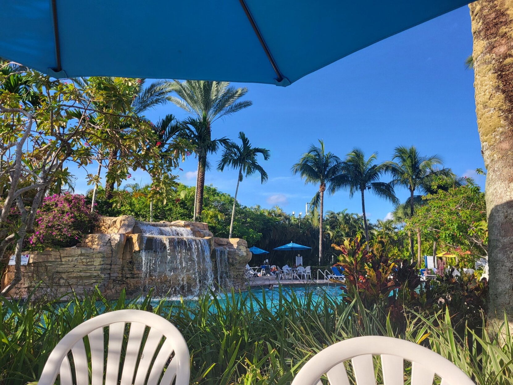 Vacation Village at Weston-泳池