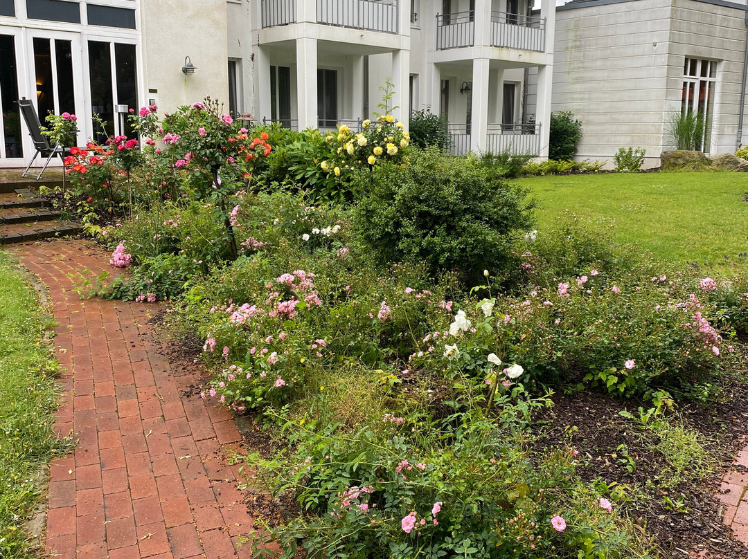 Romantik Hotel Boesehof主图