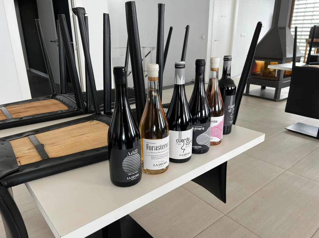 Bodegas La Divisa-Torvizcon必去景点