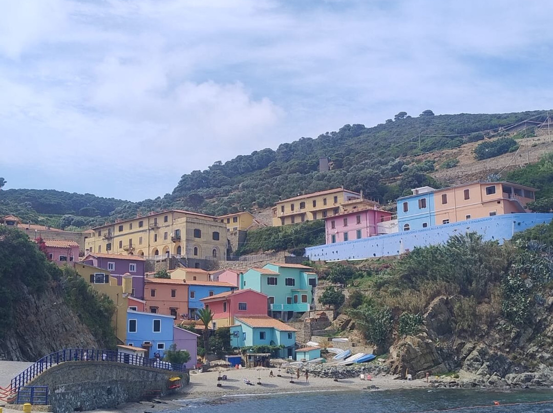 Isola di Gorgona景点图片
