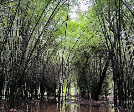 Touracle-柯钦必去景点