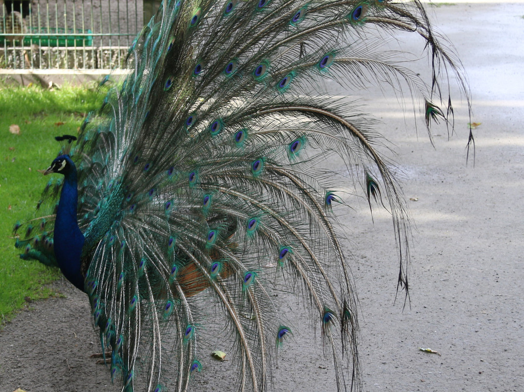 Birgits Tiergarten-Hage必去景点