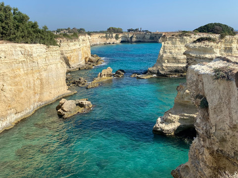 Tenuta i quattro venti主图