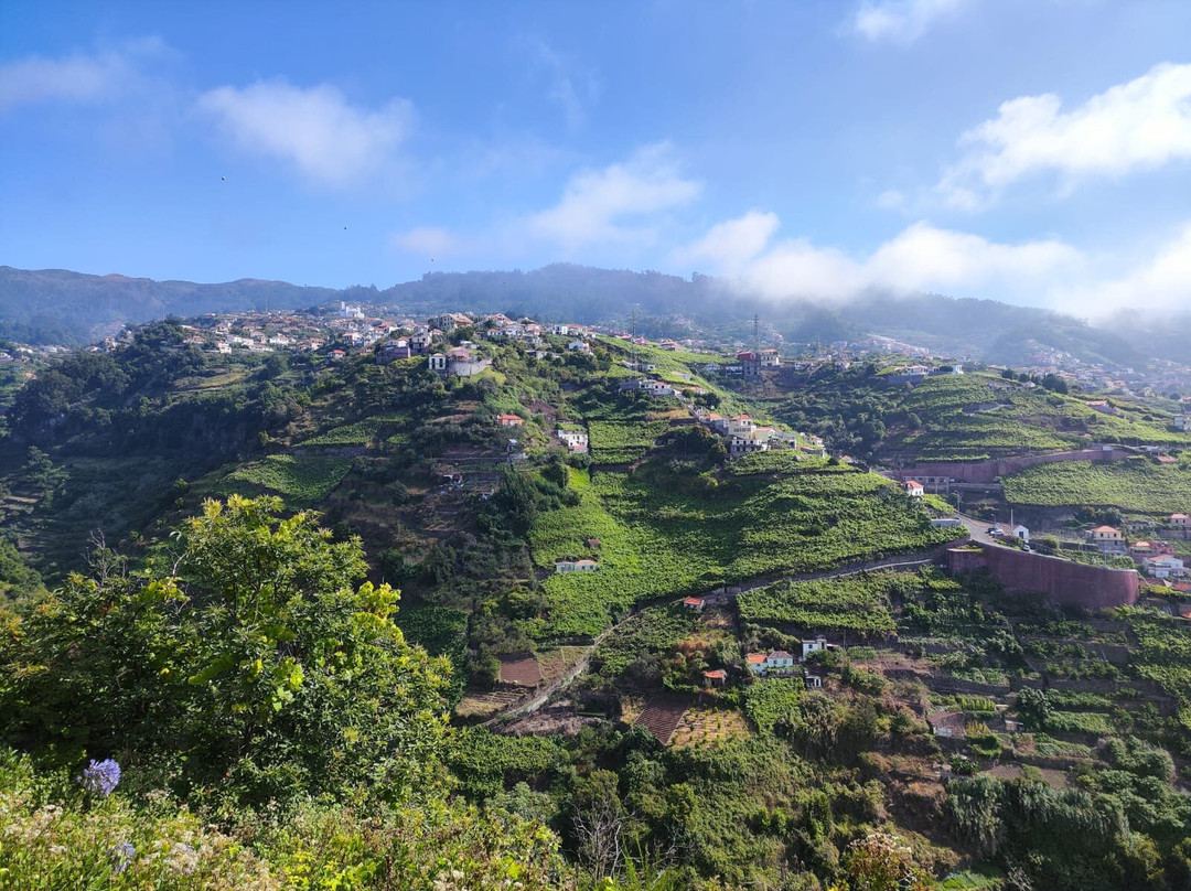 Levada Norte-Camara De Lobos必去景点