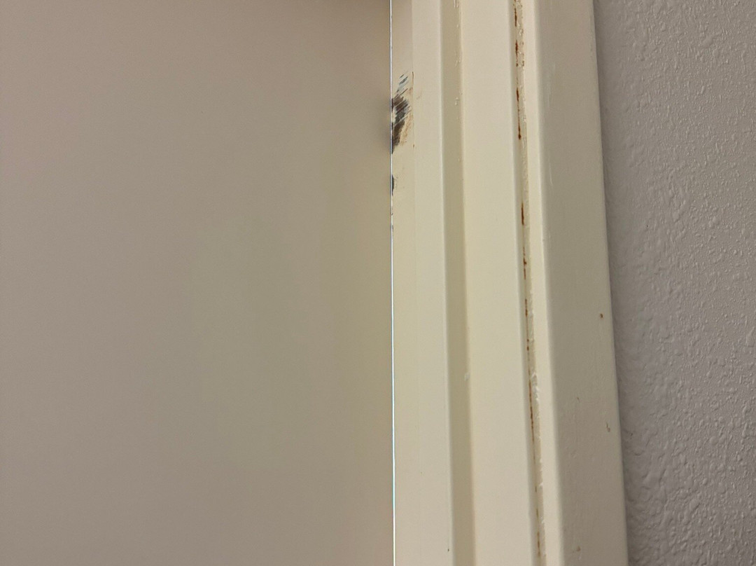 Fairfield by Marriott Inn & Suites Nashville Smyrna主图