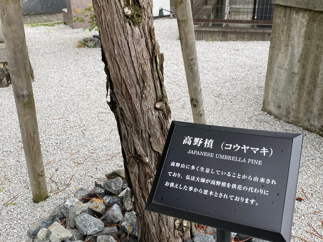 Daishi-ji Temple-美浓市必去景点