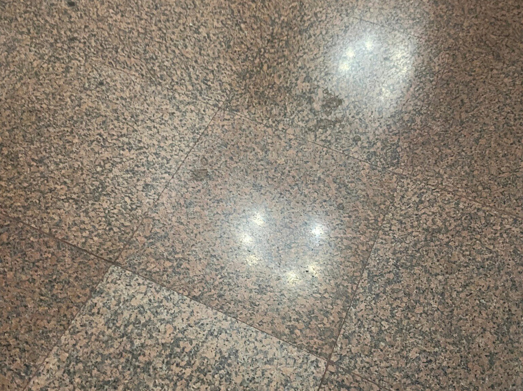 Hotel Flora主图