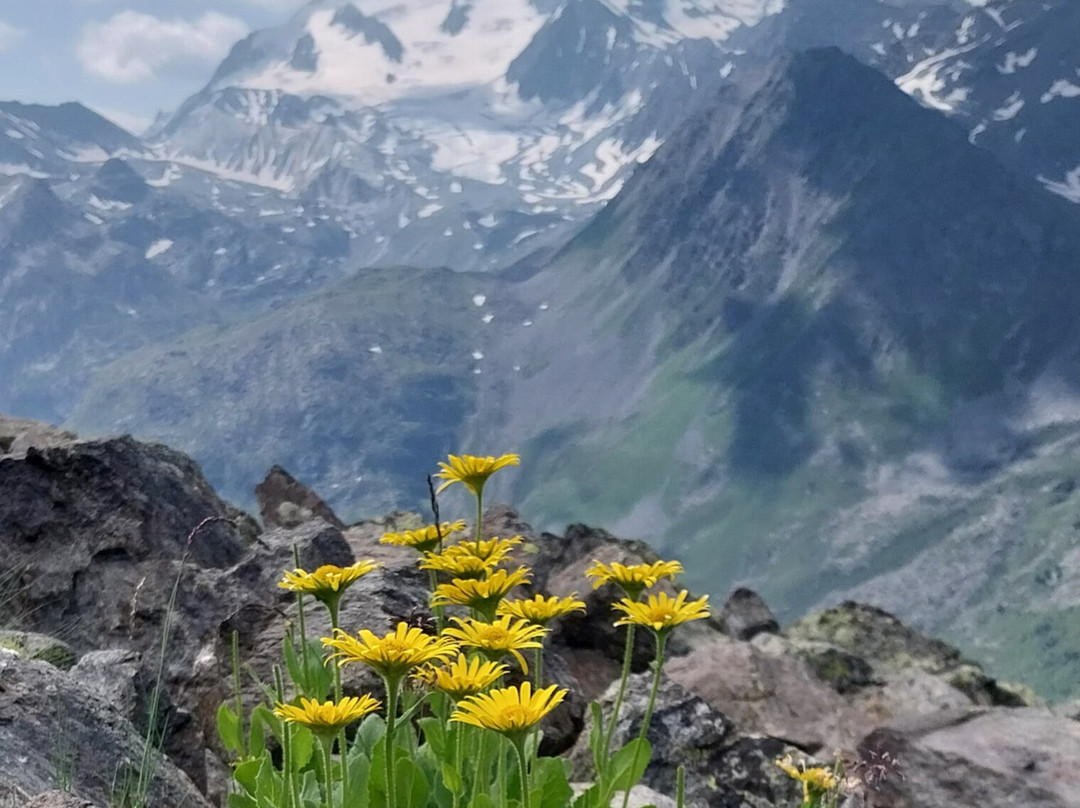 Pierre & Vacances Residence Les Sentiers du Tueda主图