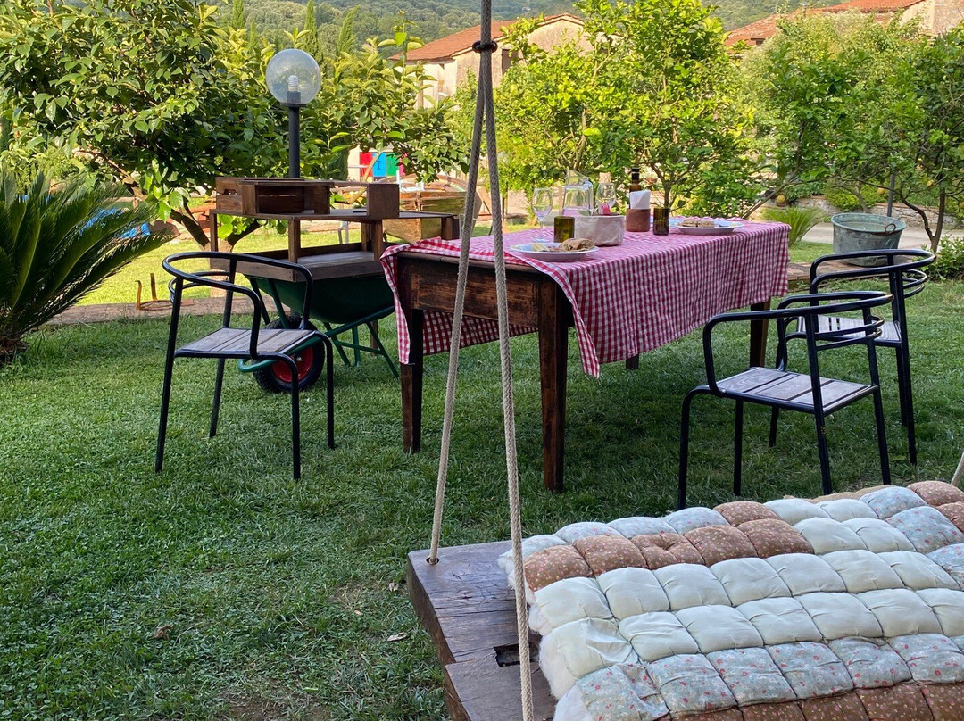 Azienda Agricola Donna Clara景点图片