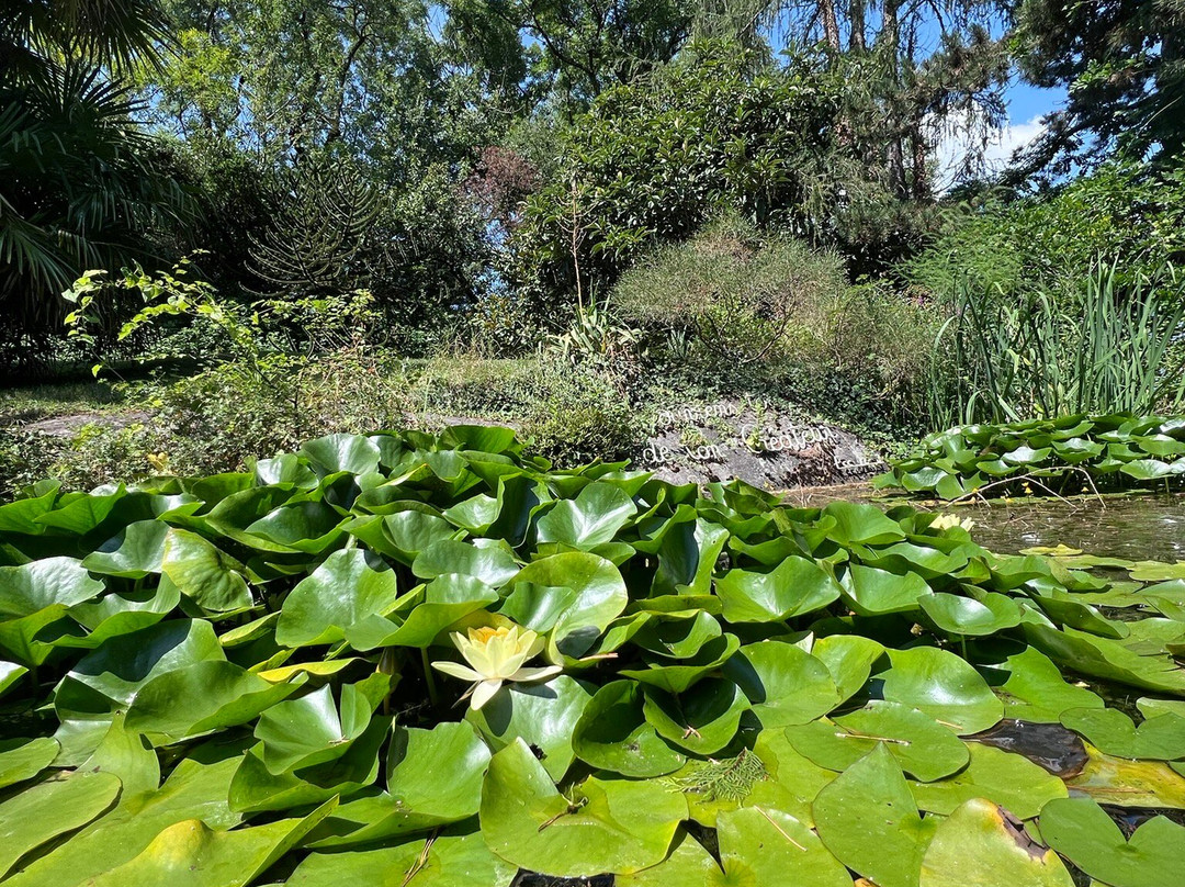 Jardin Botanique de St-Triphon-Ollon必去景点