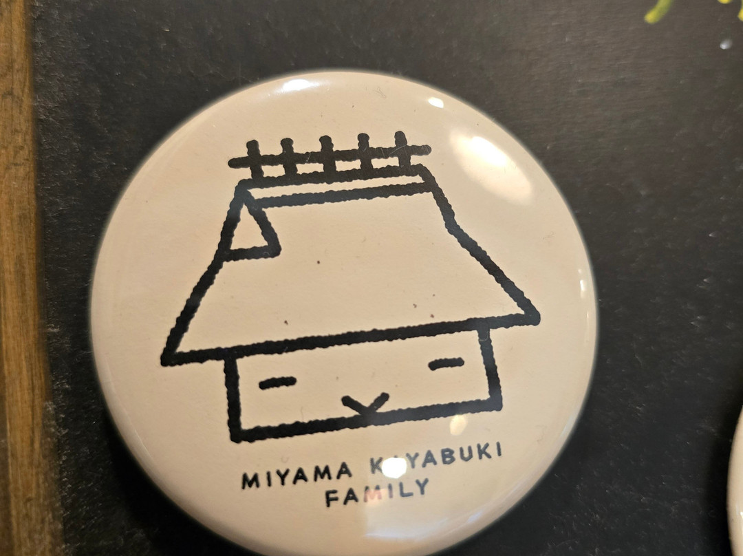 JPS Kyoto Chartered Taxi Reservation Center-京都市必去景点