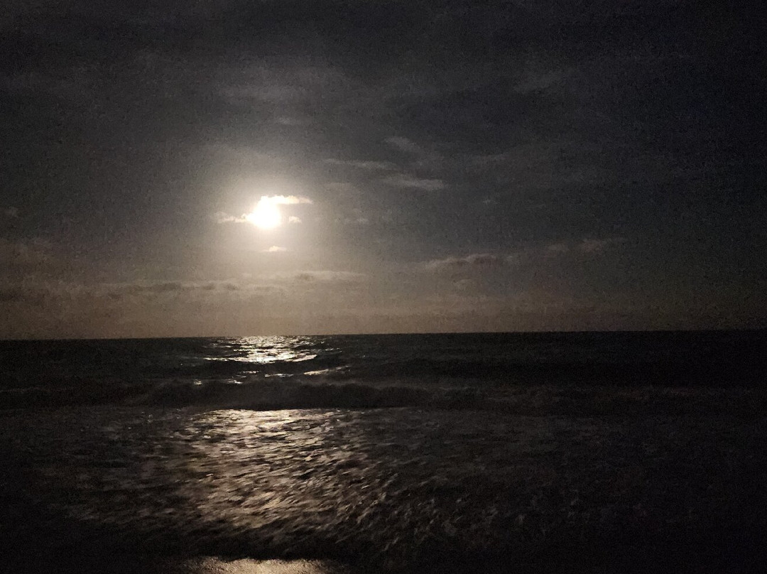 Onslow Beach景点图片
