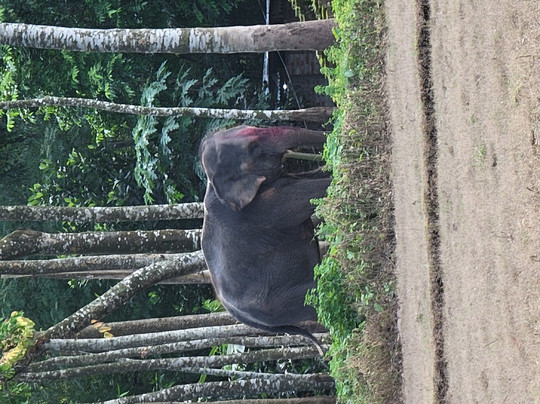 Pathfriend Tour Operator-达卡市必去景点