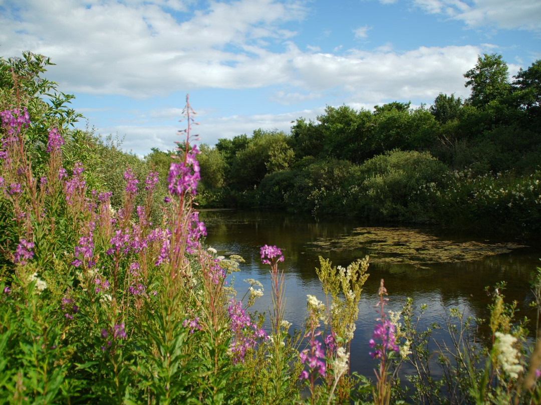 Geise Farm