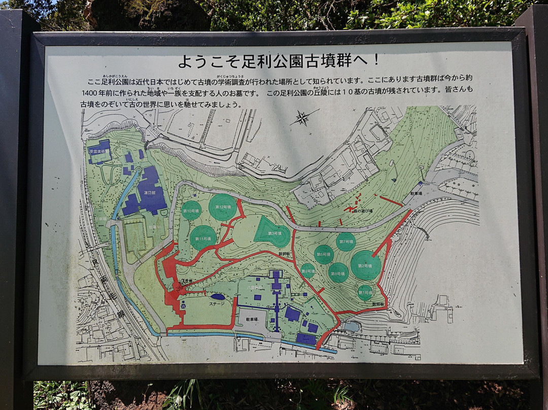 Ashikaga Park-足利市必去景点