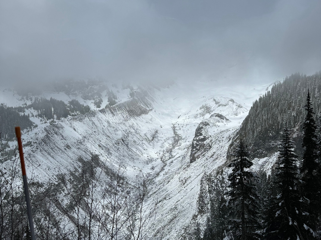 Nisqually Vista Loop景点图片
