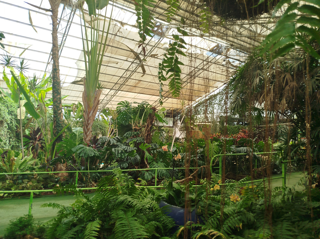 Utopia Orchid Park-Bahan必去景点