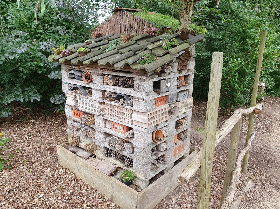 Vlindersafari-Gemert必去景点