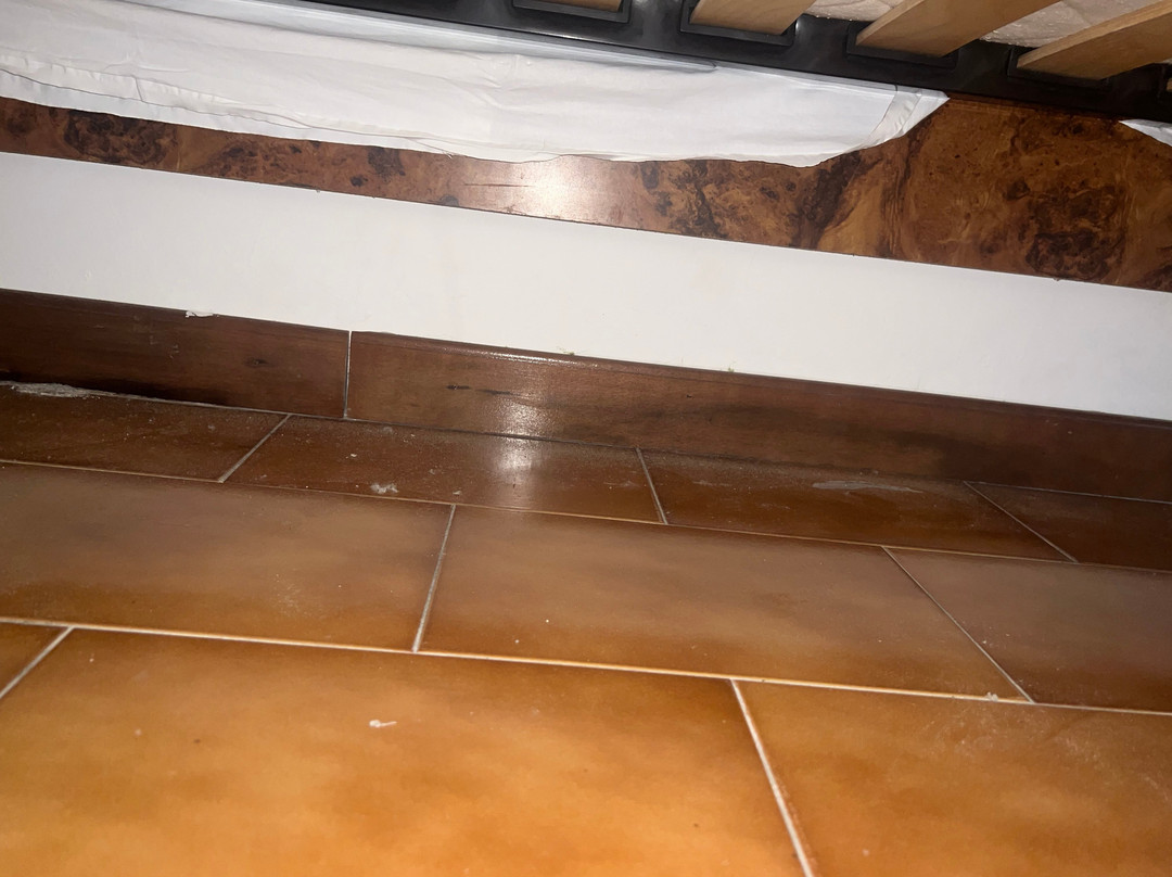 President & Nebenhaus Sporting主图