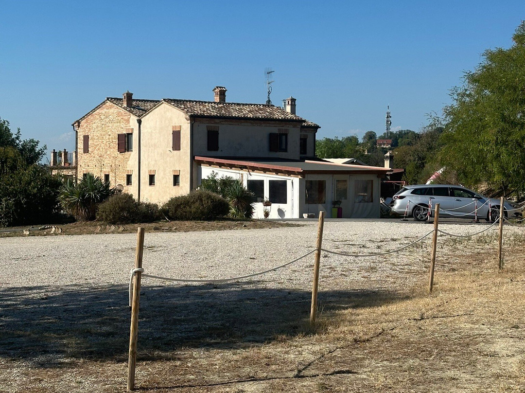 Colle Dei Falchi主图