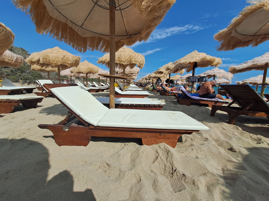 Samanà Beach景点图片