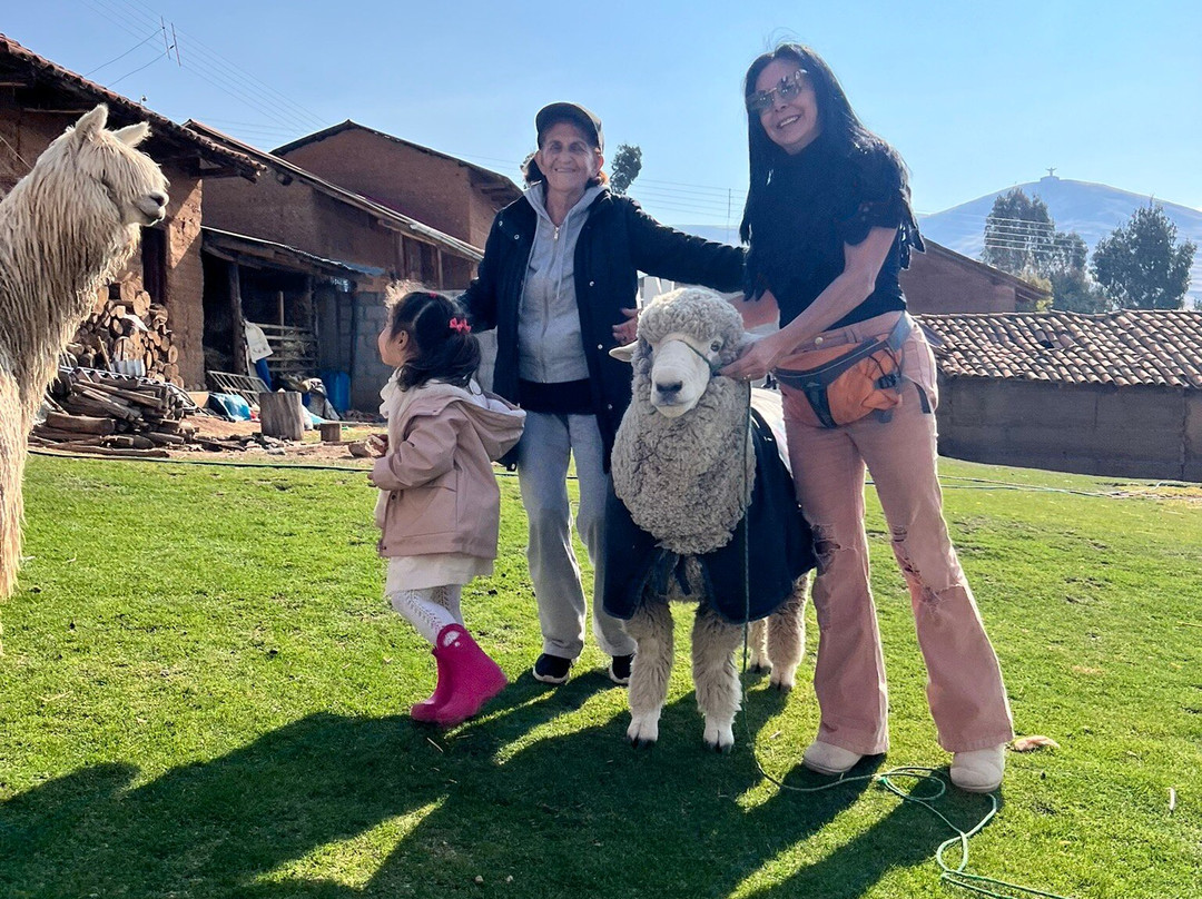 Taller De Arte Textil Rodríguez-塔玛必去景点