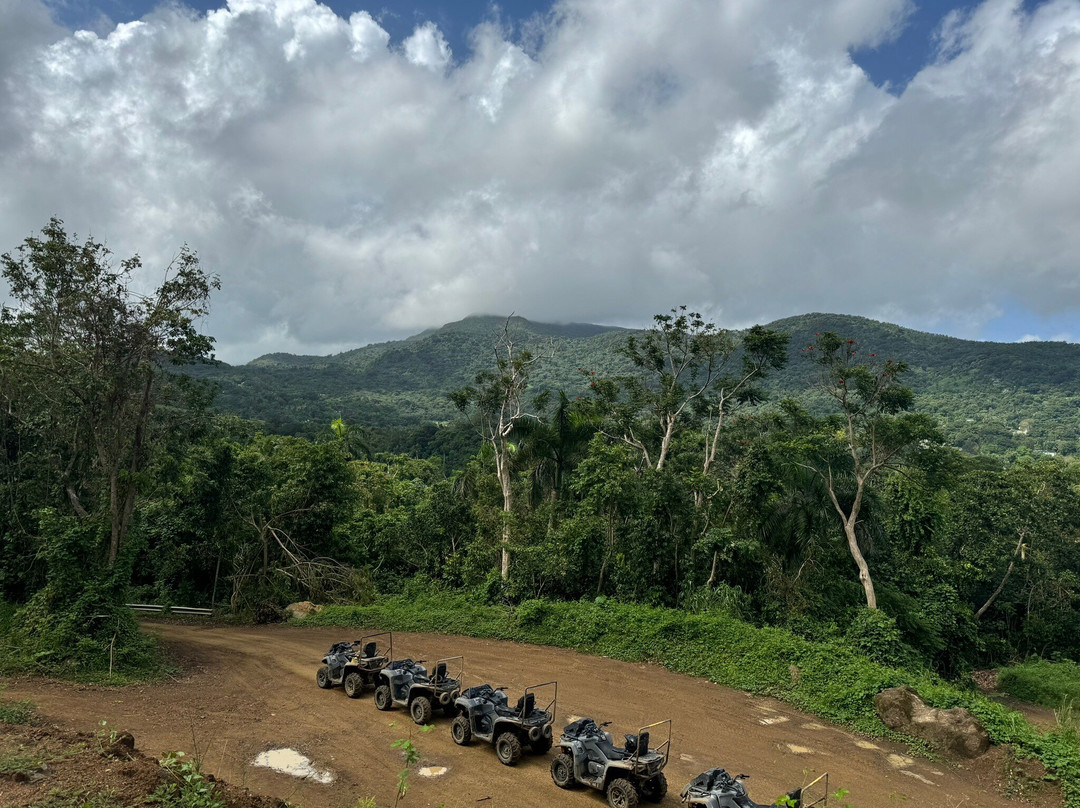 Carabali Rainforest Adventure Park-Luquillo必去景点