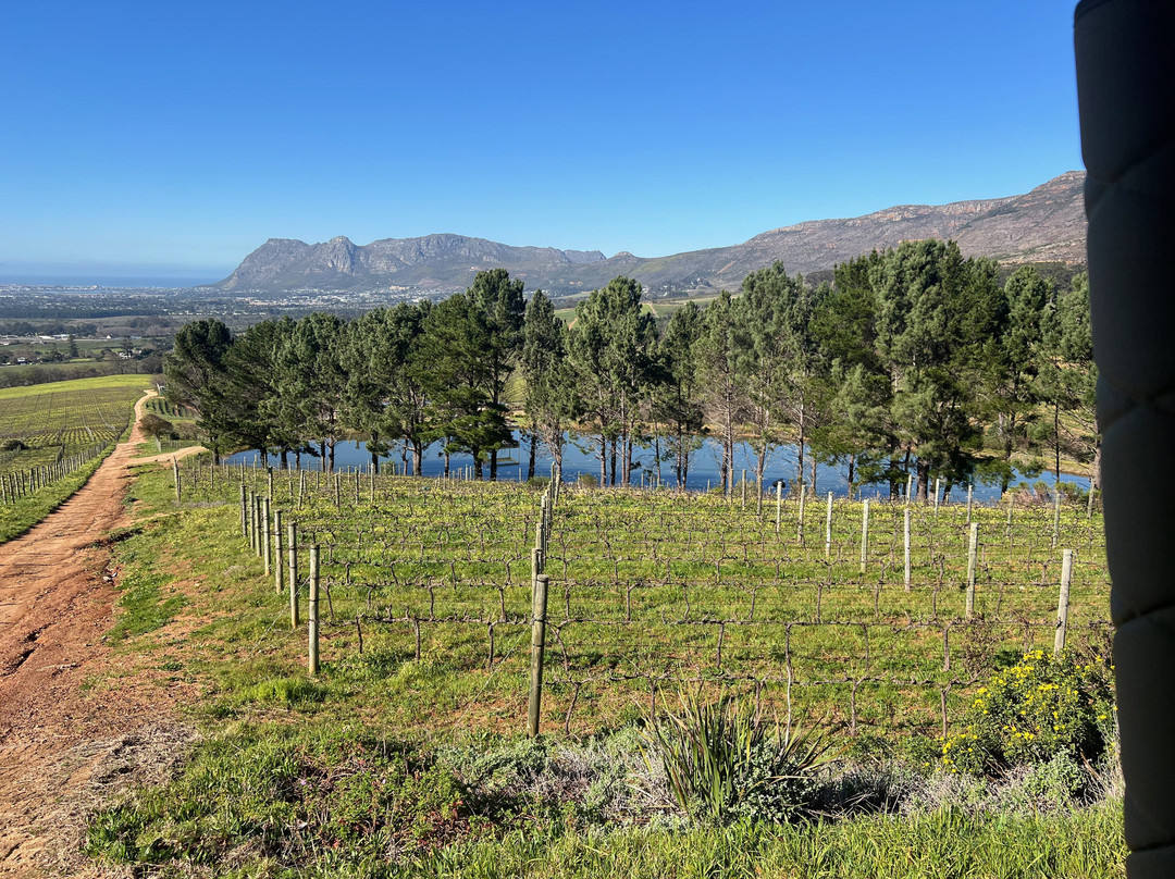 Klein Constantia-康士坦提亚必去景点