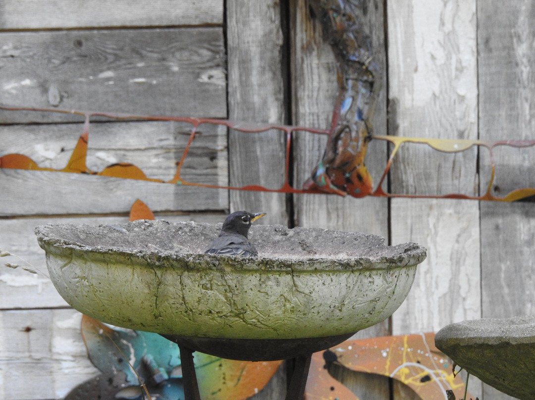 Paul Bobrowitz Spectacular Sculpture-Colgate必去景点