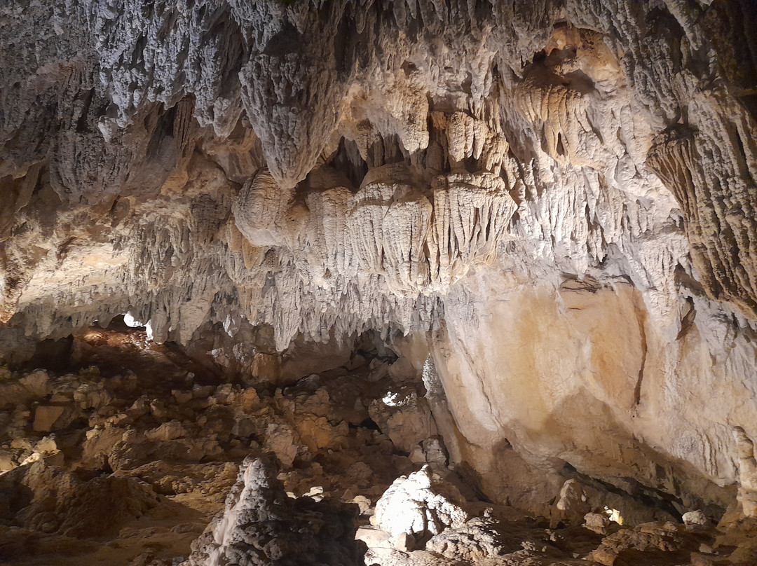 Cuevas de Urdazubi Urdax景点图片