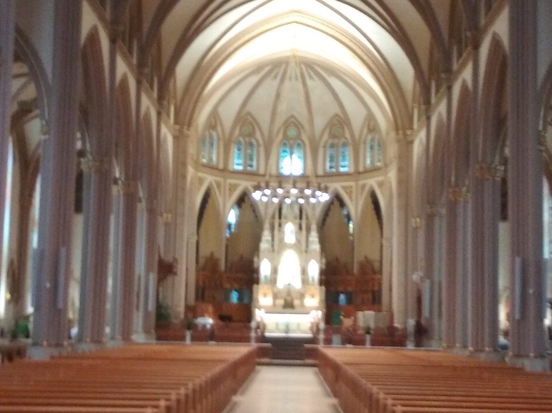 Cathedrale de l'Assomption-三河市必去景点