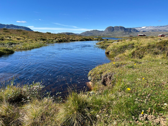 Haugseter Fjellstue主图