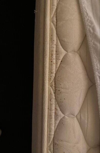 Cedar Crest Inn主图