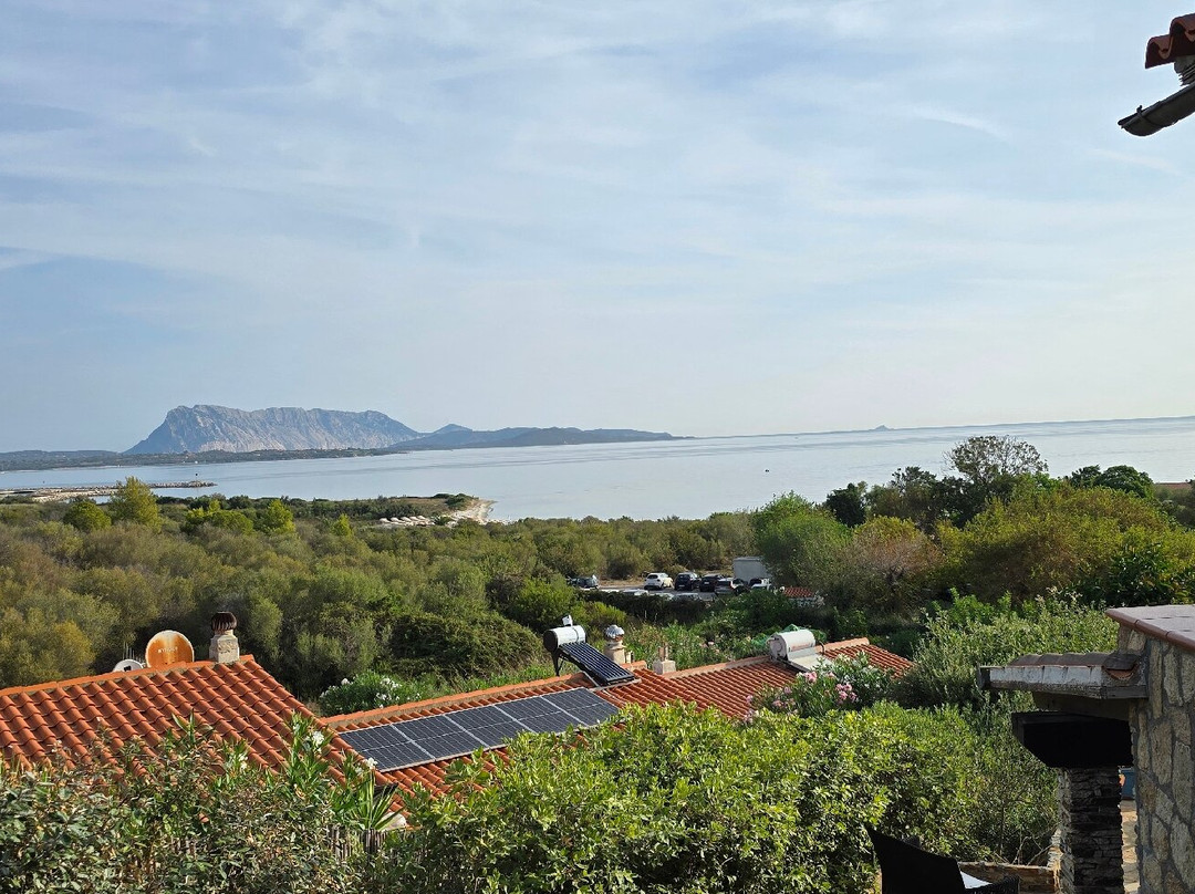 Villa Minda Lodges & View主图
