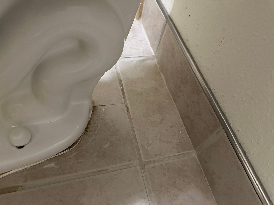 西提顿贝斯特韦斯特酒店主图