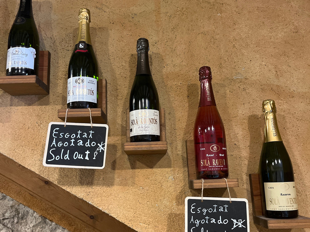 Cava Sola Raventos景点图片
