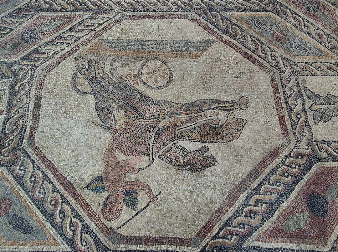 Villa Romana ed Antiquarium di Desenzano del Garda-代森扎诺-德尔加达必去景点