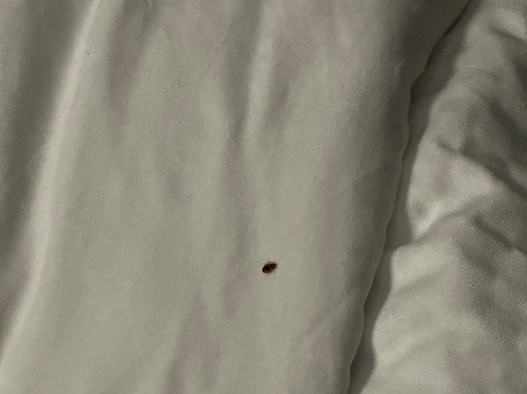 Holiday Inn Youngstown-south (boardman) By IHG主图