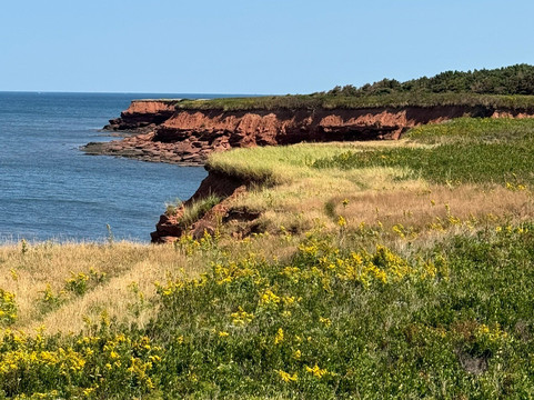 Duncan's Island Tours-夏洛特镇必去景点