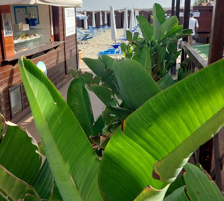 Tropical Beach-Capaci必去景点
